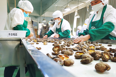 百兴食品:风口抢“鲜” 预制菜香飘海内外丨“企”动未来⑥